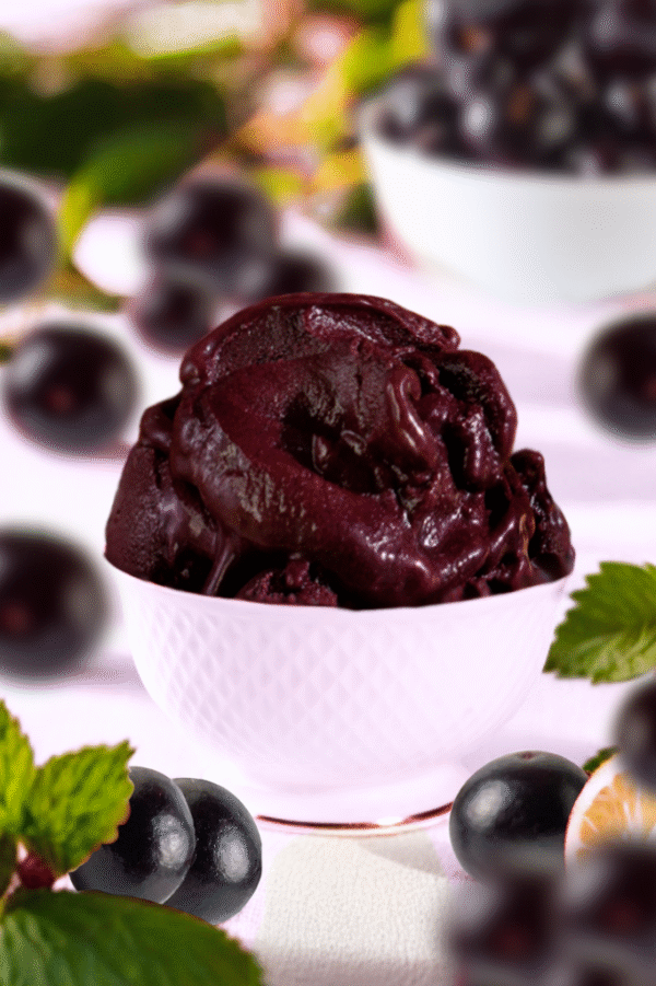 AÇAÍ COM JABUTICABA AMBIENTE
